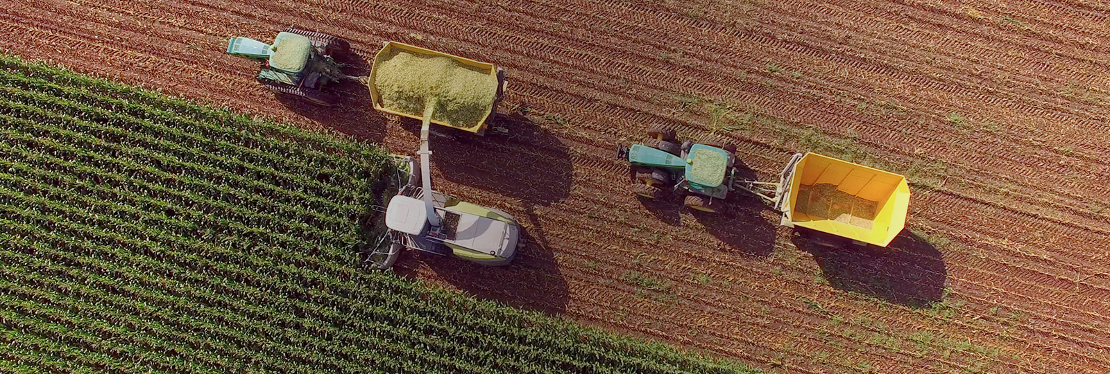 Relação de próximidade com fornecedores